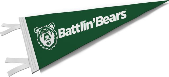 Rocky Mountain College 9'' x 24'' Pennant